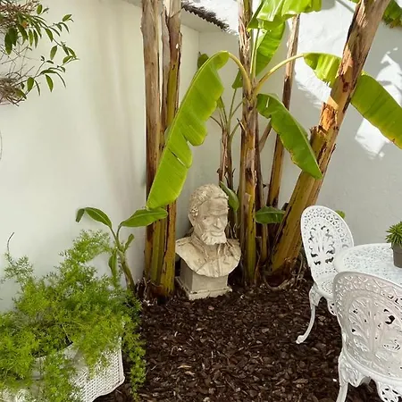 Estudio A 10 Minutos Del Puerto Banus